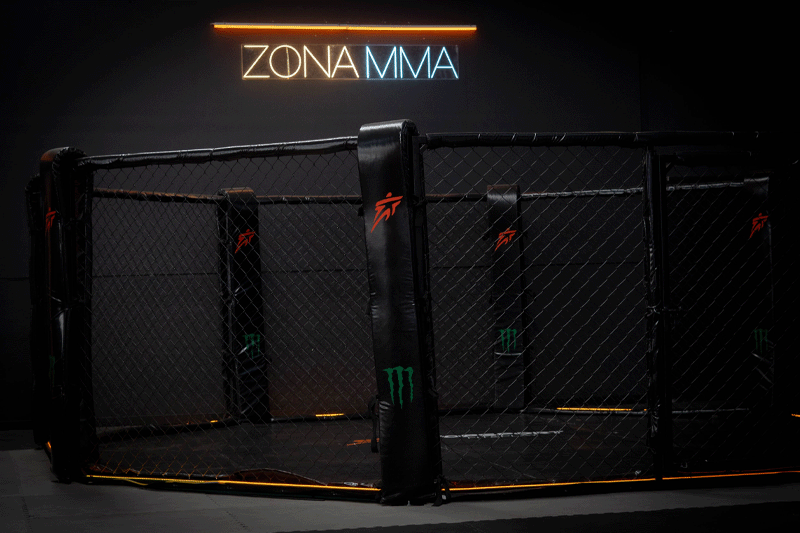 MMA