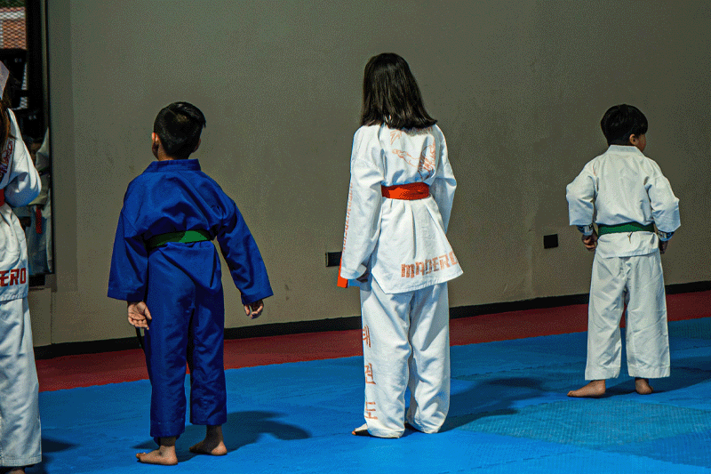 Taekwondo